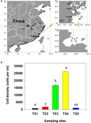 Decoding the influence of bacterial community structure and algicidal bacteria in a Karenia longicanalis bloom event